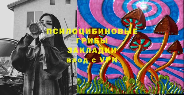 мяу мяу мука Алексин